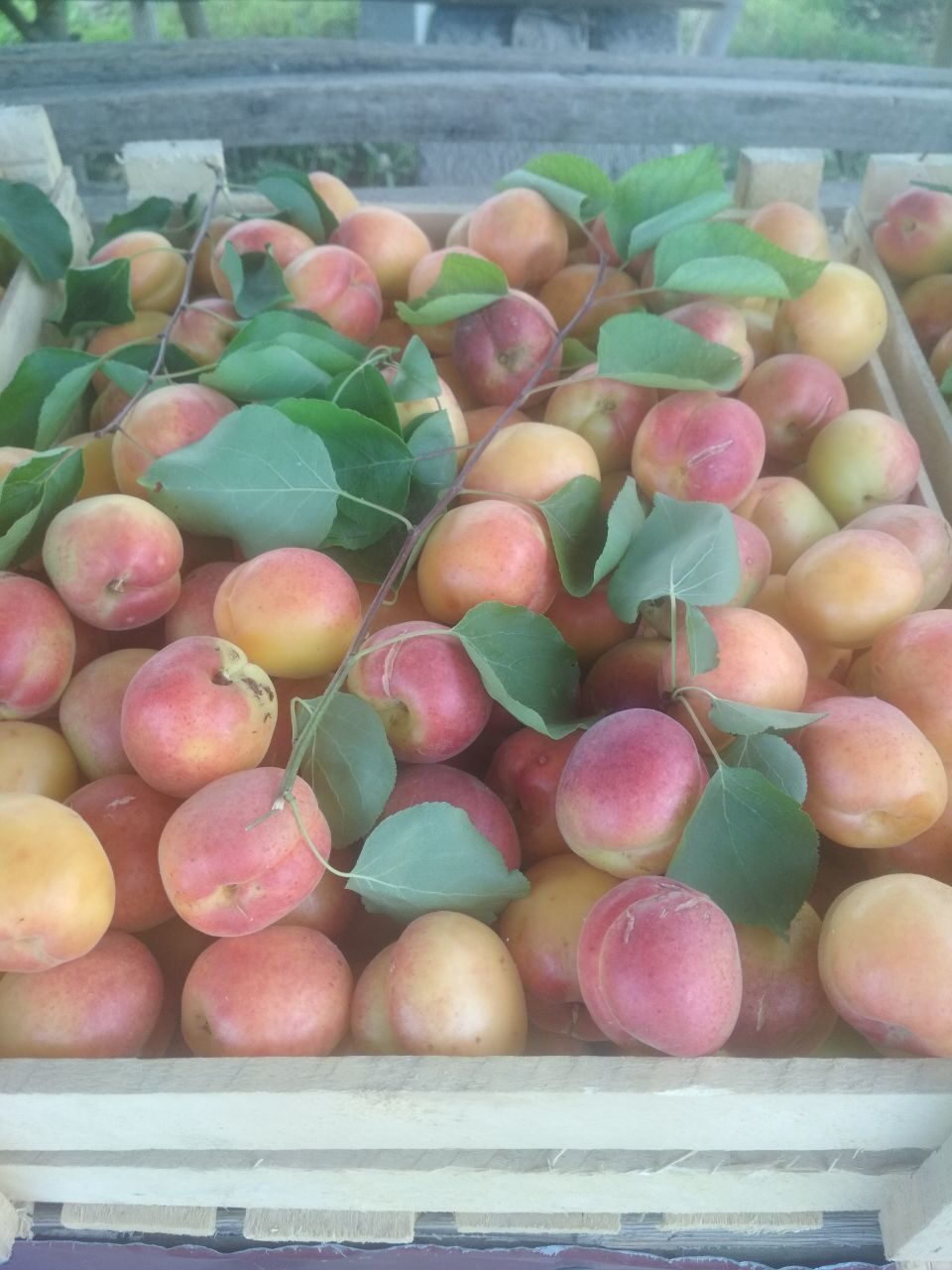 img_20240901_104148_874