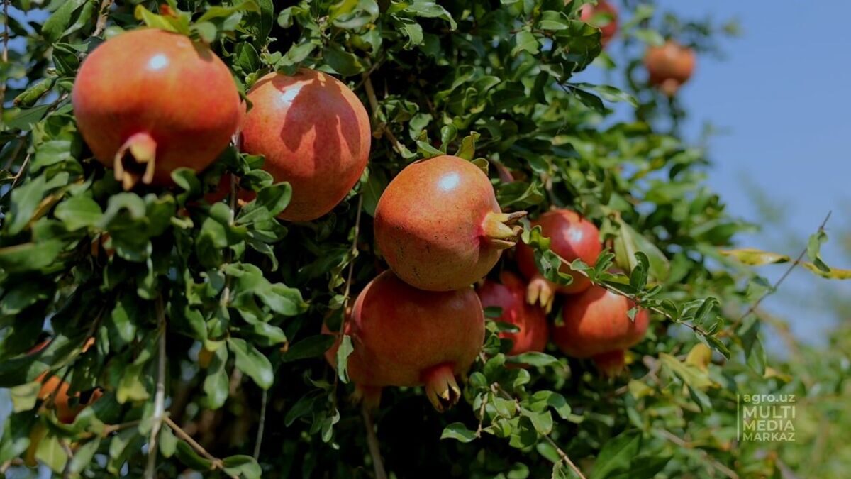 photo_2022-09-24_11-44-13