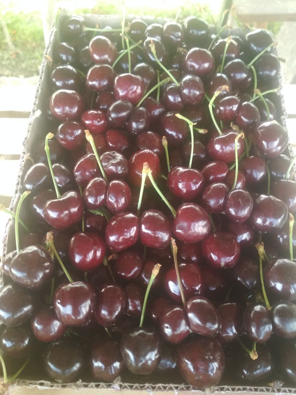 img_20240830_142637_798